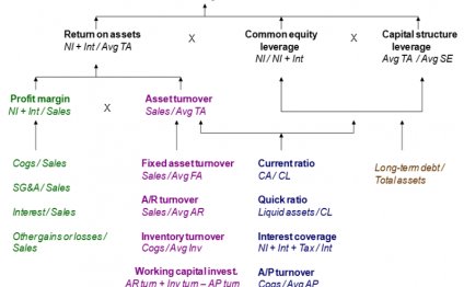 Book “Financial Accounting