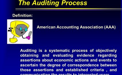 The Auditing Process