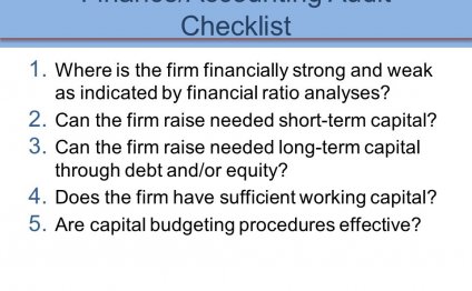 Finance/Accounting Audit