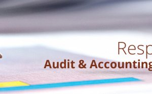 Accounting Auditing firms