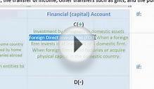 Balance of Payments - the Financial (Capital) Account