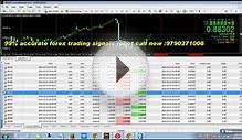 Best Forex Account Management Service